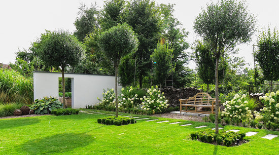 Ein schöner Garten macht Freude. In diesem Blog gibt es Tipps und Wissen zur Rasenpflege und den Garten.